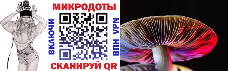 Галлюциногенные грибы GOLDEN TEACHER  Маркс 